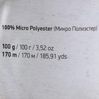 Пряжа "Velour" 100% микрополиэстер 170м/100г (842 черный) - Фото 4