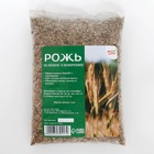Семена Рожь «Мой Выбор», 1 кг - Фото 4