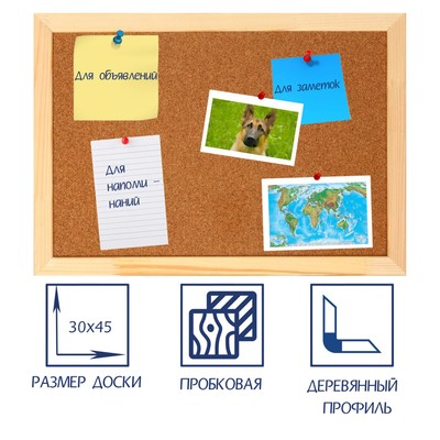 Доска пробковая А3, 30×45 см, Calligrata, в деревянной раме