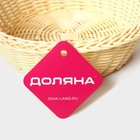 Корзинка для фруктов и хлеба Доляна «Ваниль», 21×6.5 см, пластик, плетёная, молочная - Фото 7
