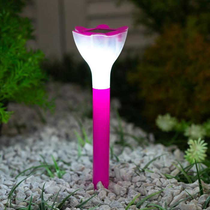 Садовый светильник Uniel Pink Crocus на солнечной батарее, 6 × 20 × 6 см, свечение белое - Фото 1