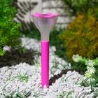 Садовый светильник Uniel Pink Crocus на солнечной батарее, 6 × 20 × 6 см, свечение белое - Фото 2