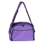 Сумка-переноска большая мягкой формы, ПВХ, 44 х 25 х 26 см, микс цветов - Фото 3