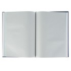 Книга учёта Calligrata, 96 листов, клетка, обложка бумвинил, блок газетка - Фото 2