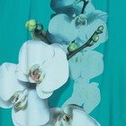 Платье женское Белая орхидея цвет ментол, р-р 58 - Фото 3