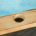 Накопитель для пробок, 48х28х5см, ХВОЯ, термо с обычным стеклом - Фото 2