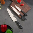 Набор ножей Samura HARAKIRI, 3 шт: лезвие 10 см, 15 см, 20 см, чёрная рукоять - фото 318066294