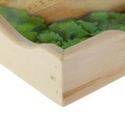 Поднос деревянный для завтрака "Добропаровъ", стеклянная поверхность, МАССИВ, 50х7х29,5 - Фото 3