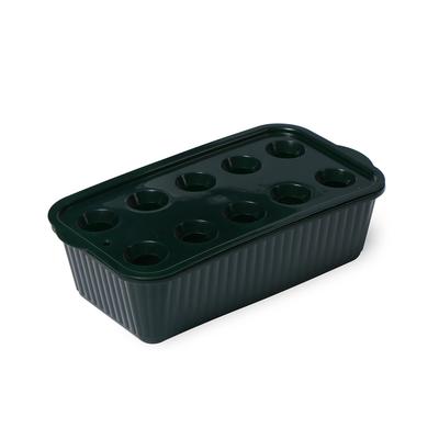 Лоток для выращивания зелёного лука, 29 × 16 × 8.5 см, цвет МИКС