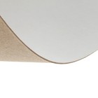 Картон переплётный (обложечный) 0.9 мм, 21 х 30 см, 540 г/м², белый - Фото 2