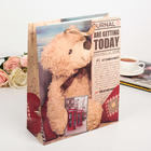 Пакет подарочный "Медвежата", люкс, МИКС, 26 х 10 х 32 см - Фото 4