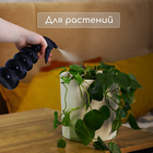 Пульверизатор, 0.55 л, h=22.5 см, чёрный перламутр, Greengo - Фото 6