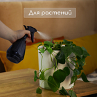 Пульверизатор, 0.45 л, чёрный перламутр, Greengo - Фото 6