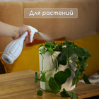 Пульверизатор, 0.5 л, перламутровый, Greengo - Фото 6