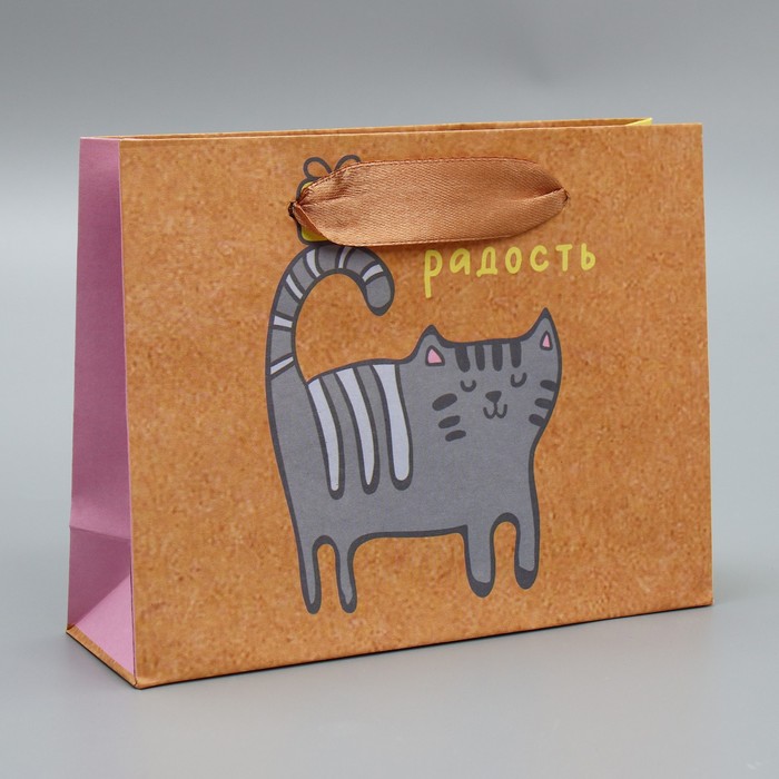 Пакет подарочный крафтовый горизонтальный, упаковка, «Несу радость», S 15 х 12 х 5,5 см - Фото 1