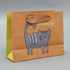 Пакет подарочный крафтовый горизонтальный, упаковка, «Несу радость», S 15 х 12 х 5,5 см - Фото 2