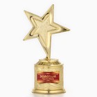 Кубок наградная фигура: звезда литая «Золотой человек» золото, пластик, 16 х 8,5 х 6 см. - Фото 3