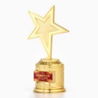 Кубок наградная фигура: звезда литая «Золотой человек» золото, пластик, 16 х 8,5 х 6 см. - Фото 2