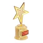 Наградная фигура: звезда литая «Больших побед и новых достижений», 16,5 х 6,3 см, золото, пластик - фото 9429916