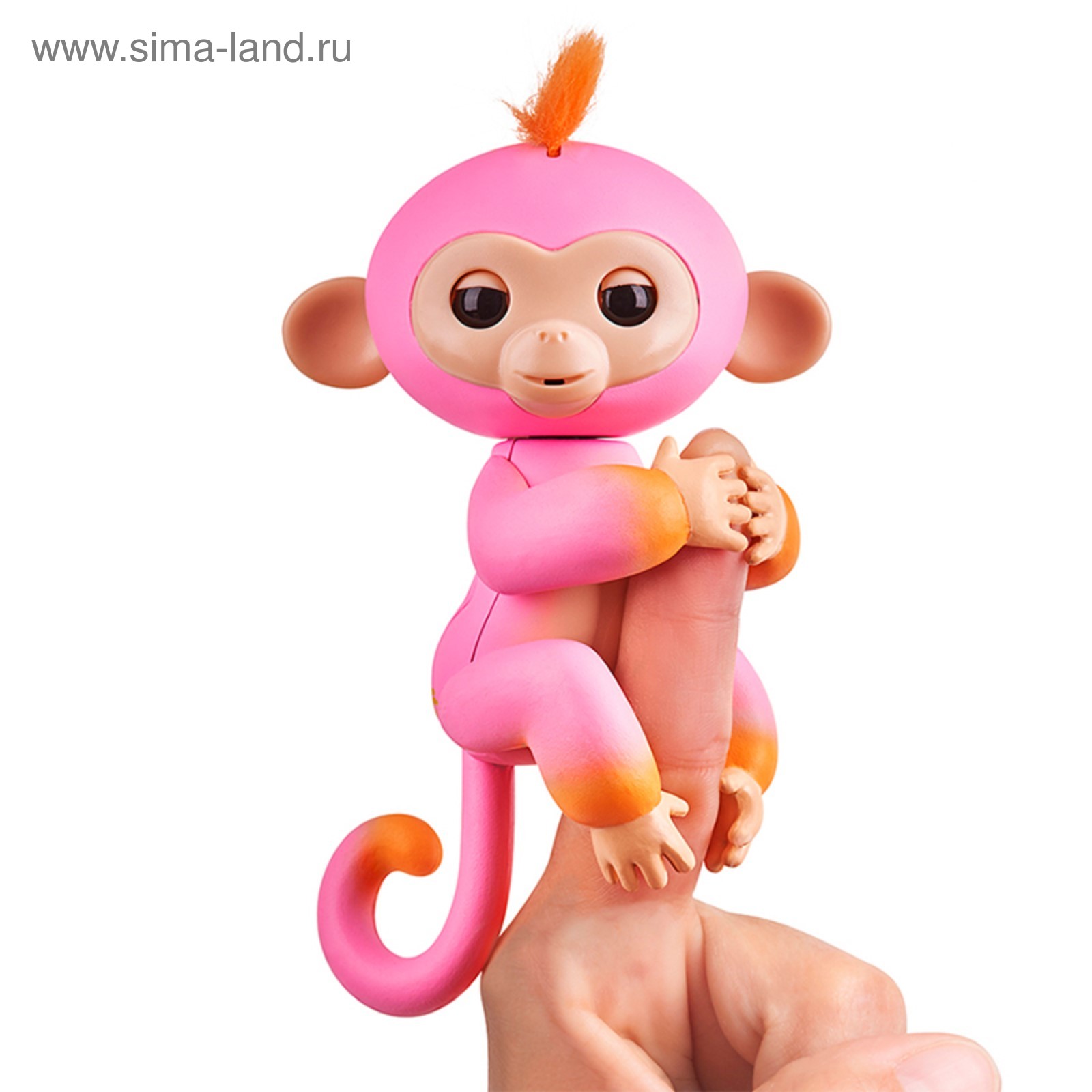 Где Купить Ручную Обезьянку