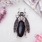 Брошь муха-цокотуха «Агат чёрный» в чернёном серебре - Фото 1