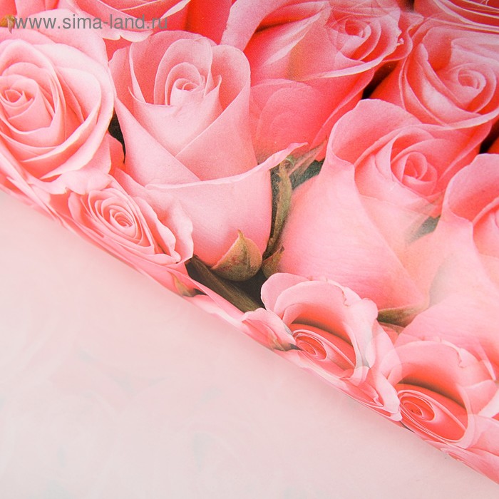 Бумага упаковочная глянцевая "Розовый рай", 50 х 70 см - Фото 1