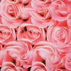Бумага упаковочная глянцевая "Розовый рай", 50 х 70 см - Фото 2