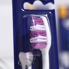 Зубная щётка Rendall Classic, жёсткая, 1 шт. МИКС - Фото 2