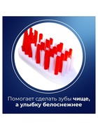 Зубная щётка Rendal Classic, средней жёсткости, 4 шт. 3417050 - фото 16866788