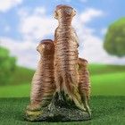 Садовая фигура "Три суриката" 38см - Фото 3