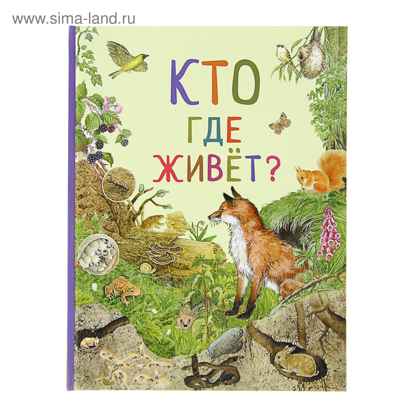Кто на себе свой дом носит