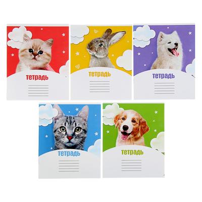 Тетрадь 12 листов в клетку Calligrata «Домашние любимцы», обложка мелованный картон, МИКС