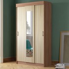 Шкаф-купе «Эко», 1200×565×2200 мм, цвет ясень шимо светлый/тёмный - Фото 1