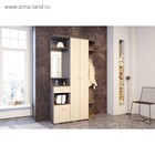 Прихожая «Виза», 1210×354×2032 мм, цвет ясень шимо светлый/ясень шимо тёмный - Фото 1