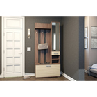 Вешалка с зеркалом «Ника», 910×354×2035 мм, цвет ясень шимо светлый/ясень шимо темный - Фото 1