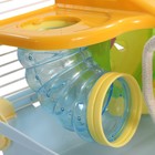 Клетка Triol "Парк приключений", для грызунов, микс цветов, 27,5*20,5x25 см - Фото 4