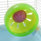 Клетка Triol "Парк приключений", для грызунов, микс цветов, 27,5*20,5x25 см - Фото 6