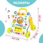 Развивающая каталка-ходунки «Первые шаги», световые и звуковые эффекты - Фото 6