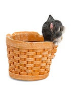 Декоративное кашпо для цветов «Котёнок в круглой корзине», 18×16.5×20.5 см, полистоун - Фото 10