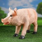 Садовая фигура из полистоуна «Свинка», 24×44 см - Фото 2