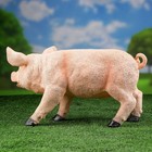 Садовая фигура из полистоуна «Свинка», 24×44 см - Фото 3