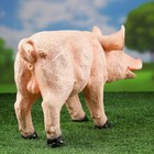 Садовая фигура из полистоуна «Свинка», 24×44 см - Фото 4