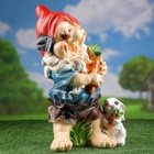 Садовая фигура из полистоуна «Гном с зайцем и морковкой», 44×25×28 см, МИКС - Фото 13