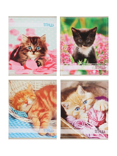 Тетрадь 36 листов в клетку Calligrata «Котята», МИКС