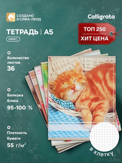 Тетрадь 36 листов в клетку Calligrata «Котята», МИКС