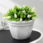 Горшок для цветов с поддоном «Ника», 1,5 л, d=17 см, h=12 см, белый - Фото 1