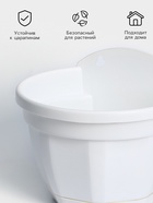 Кашпо для цветов настенное с поддоном «Ника», 3 л, d=20 см, цвет МИКС - Фото 2