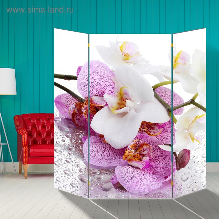 Ширма "Орхидеи. Утренняя свежесть", 160 × 160 см - Фото 1