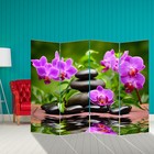 Ширма "Орхидеи. Гармония", 200 х 160 см - фото 298017698