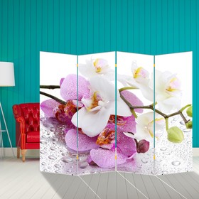 Ширма "Орхидеи. Утренняя свежесть", 200 х 160 см